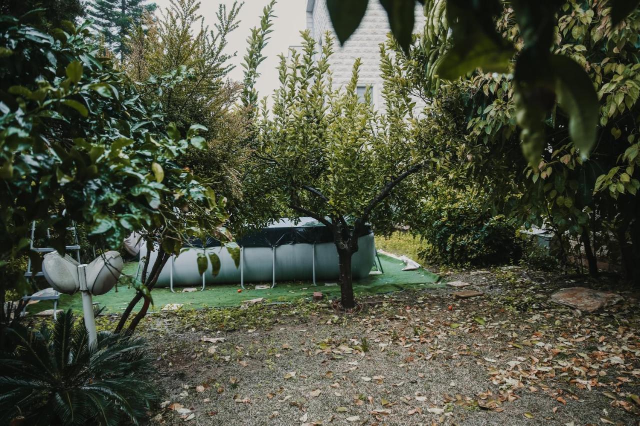 The Garden Apartment Názáret Kültér fotó